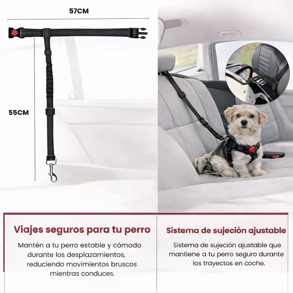 Correa De Seguridad Para Coche.