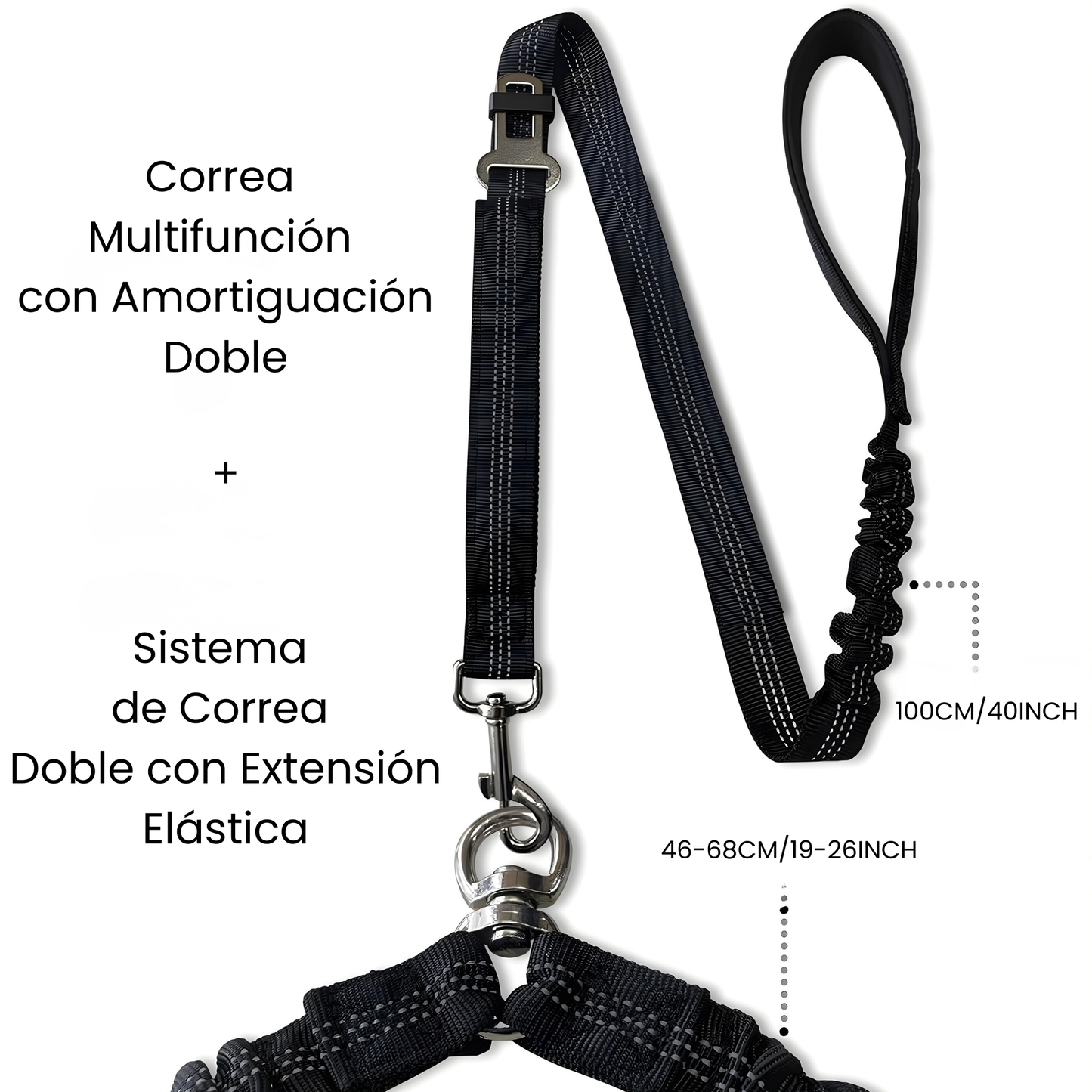 Correa Doble Antienredos 360°