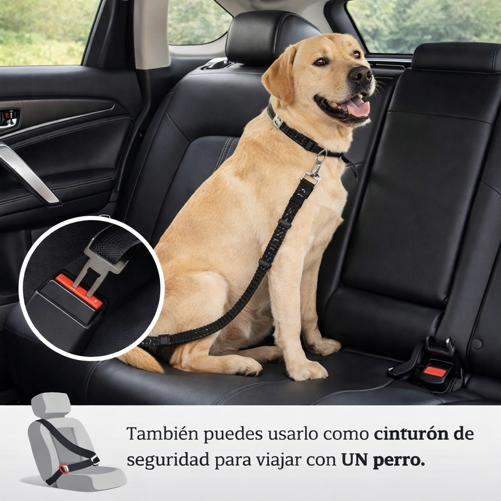 Correa Doble Antienredos 360°